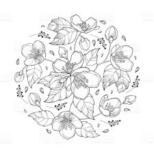 Free Free 247 Jasmine Flower Svg Free SVG PNG EPS DXF File
