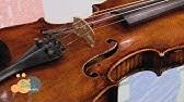 Fly with the music dream version — dual bass feat. Fly Music Deschidere Magazin De Instrumente Muzicale Piatra Neamt Youtube