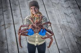 Vi sono 260 polpa di granchio in scatola fornitori, principalmente situati in asia.i principali paesi o regioni fornitori sono la cina, philippines, evietnam, che forniscono rispettivamente il 29. Granchio Reale Com E E Cosa Conosce Il Pesce Alla Moda Che I Sovietici Hanno Portato