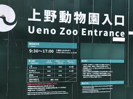 رحلتي إلى اليابان كاملة طوكيو و أوساكا و المزيد ادخل الآن ترافيل ديف Traveldiv