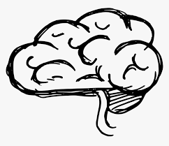 Check spelling or type a new query. Brain Clipart Drawing Cartoon Drawings Of A Brain Hd Png Download Transparent Png Image Pngitem