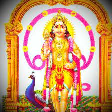 Murugan Wallpaper Murugan Images In Png 321970 Hd Wallpaper Backgrounds Download This is application is about hindu god murugan, this apk has story of the war god of hindu mythology, six most blessed abodes (veedu) of lord muruga. murugan wallpaper murugan images in