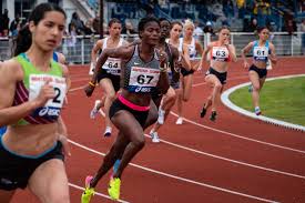 Istituzione, caratteristiche e simboli, organizzazione, obiettivi, approfondimento su berlino 1936 e monaco 1972. Le Donne Alle Olimpiadi Una Parita Quasi Raggiunta