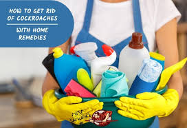 Find deals on products in pest control on amazon. How To Get Rid Of Cockroaches With Home Remedies Pest Samurai