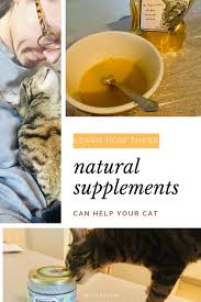 It's one of the easiest ways to add nutrient dense foods to their diet! Supplements For Cats With Dry Skin And Home Remedies That Work