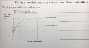 Diagrammauswertung In Biologie Schule