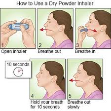Insert inhaler into the open end of the chamber. How To Use A Dry Powder Inhaler What You Need To Know