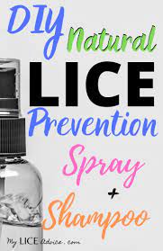 11 Diy Natural Lice Prevention Sprays Shampoos More To Repel Lice
