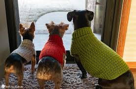 Ravelry patterns yarns people groups forums my notebook. Dandy Dog Sweater Easy Crochet Dog Sweater Pattern