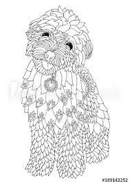 The miniature goldendoodle has a very appealing appearance and persona, making it an ideal affectionate pet for children and families. Pin On Coloring Pages