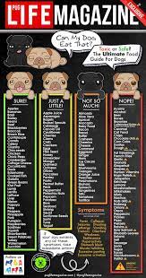 Foods Pugs Can And Can T Eat The Ultimate Food Guide For Dogs Dog Food Recipes Foods Dogs Can Eat Dog Safe Food