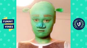 1 Hour Funny Viral Videos Best Of The Year 2020 Youtube While reddit has produced some great original material, users on the site equally.