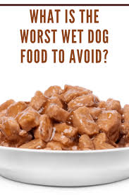 Find content updated daily for wet dog food brands to avoid What Is The Worst Wet Dog Food To Avoid Mommy S Memorandum