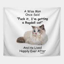 Funny Ragdoll Cat Gift For Men