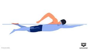 Learn How To Swim Freestyle In 2020 Swimming Strokes Freestyle Swimming Swimming Workout