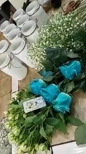 We did not find results for: Magda S Flowers Home Facebook