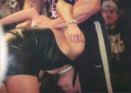 Stephanie mcmahon boob slip