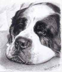 Por ello, en esta ocasión te tramos dibujos a lápiz de animales, para que aprendas como hacer el trazado de las líneas, el contorno, las sombras y los matices, al momento de realizar un dibujo a lápiz de animales. Dibujos De Perros Tiernos A Lapiz