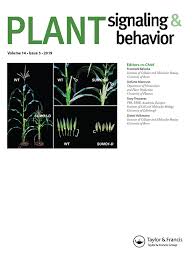 Following on from the success of the plant. Full Article Plant Immune Responses From Guard Cells And Local Responses To Systemic Defense Against Bacterial Pathogens