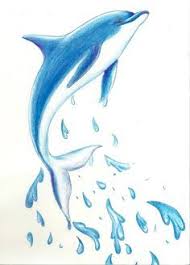 Dolphin Drawing Google Search Dolphin Drawing Dolphin Art Dolphin Painting
