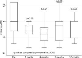 Refractive And Visual Outcomes After Ferrara Corneal Ring