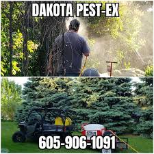 Our technicians help inspect and. Dakota Pest Ex 46627 250th St Garretson Sd 2021