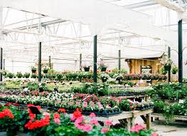 The South S Best Garden Shops 2020 In 2020 Amazing Gardens Garden Shop Windowsill Garden