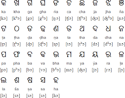 odia consonants alphabet writing alphabet for kids