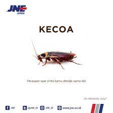 Maybe you would like to learn more about one of these? Jne Malam Minggu Di Long Weekend Gini Sendirian Karena Si Doi Lagi Sama Pacar Barunya Gak Usah Kecoa Ya Mblo Eh Kecewa Happy Satnight Jne Connectinghappiness Satnight Jomblo Facebook
