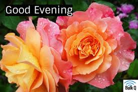 30 best good night images, pictures with most beautiful rose flowers. 77 Good Evening Images Photos Greetings And Pics