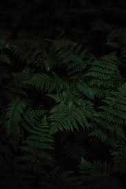 You can also upload and share your favorite full black wallpapers. Black Wallpapers Free Hd Download 500 Hq Unsplash