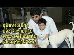 ส น ขทรงเล ยงของเจ าชายด ไบ เป นม สล มเล ยงส น ขได ไหม youtube ล กชาย