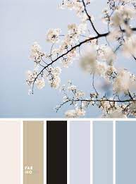 7 spring color trends that aren't the expected pastels. Pretty Spring Color Schemes Black Light Blue Blue Color Palette Bedroom Blue Colour Palette Bedroom Colour Palette