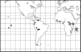 Image result for Polyphlebium borbonicum
