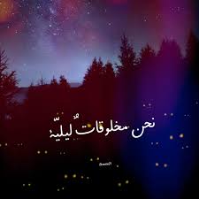 نحن مخلوقات ليلية Neon Signs Night Neon
