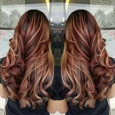 11 Best Dark Brown Hair With Blonde Highlights 2018 The Latest And Greatest Styles Ideas Brown Blonde Hair Brown Hair With Blonde Highlights Red Highlights In Brown Hair