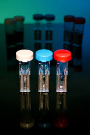 Light Labs Distributes Pcr Biosmith 0.2cm gap sterile electroporation cuvettes are used to electroporate mammalian, bacterial, and yeast cells. electroporation cuvettes 0 1cm gap sterile 50 pk
