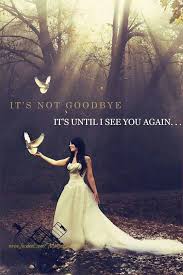 Its Not Goodbye Its Until I See You Again Never Say Goodbye See You Again Miss You