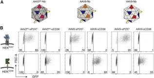 Image result for White 1995 AAV