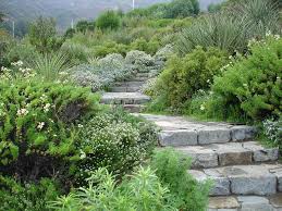 Hillside Entrance Garden In Papudo On The Central Coast Of Chile By Landscape Architect John Grimm Mediterranean Landscaping Hardscape Garden Design