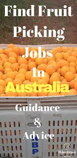 Find Fruit Picking Jobs In Australia Guide And Advice Lilybeachtravels Travel Blogs And Inspiration Around The World Travel Fruit Picking Australia Fruit Picking Jobs Fruit Picking