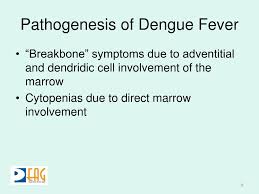 Rheumatic fever is a nonsuppurative, acute inflammatory complication of group a streptococcal pharyngeal infection, causing combinations of arthritis, carditis. Ppt 1 Dengue An Overview Powerpoint Presentation Free Download Id 3784211