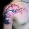 Cherry blossoms aren't just known for their beautiful blooms. Https Encrypted Tbn0 Gstatic Com Images Q Tbn And9gcqazerqzbympaeb0l0d2lp0oq1xucyccmggvkd1w 8mkb8gmavu Usqp Cau
