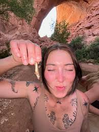 Who can temporarily foster a cat for about a year in Sylvan Park?