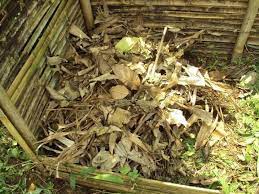 Nah, begitulah sekiranya terjadinya pupuk kompos yang menjadi pupuk alternatif untuk menanam tanaman. Memanfaatkan Daun Kering Untuk Di Jadikan Pupuk Website Ngunut