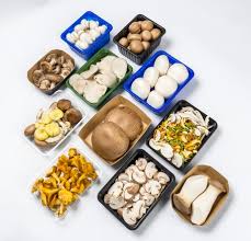 We did not find results for: How Things Stand In The Mushroom Sector