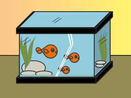This stunning animated 3d aquarium screensaver has lots of fish and a beautiful underwater scene. How To Draw Fish In A Fish Tank 7 Steps With Pictures Wikihow