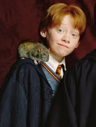 Harry Potter: 10 Things You Only Know About The Marauders If You Read The  Books
