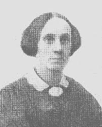 archipel willemspark