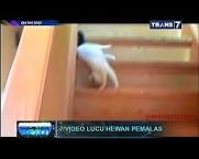 Hasil gambar untuk on the spot lucu